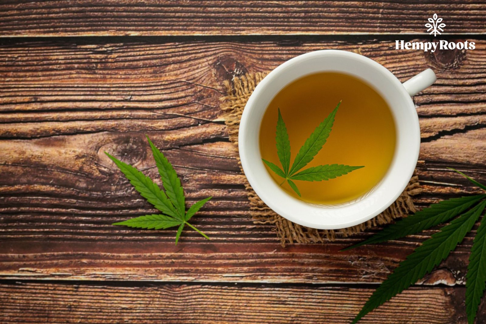 Tés e infusiones de CBD: rituales diarios de bienestar
